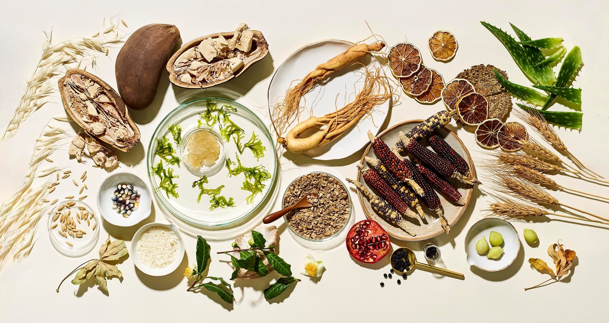 The Best Foods for Glowing Skin: Your Guide to an Inside-Out Radiance hero image