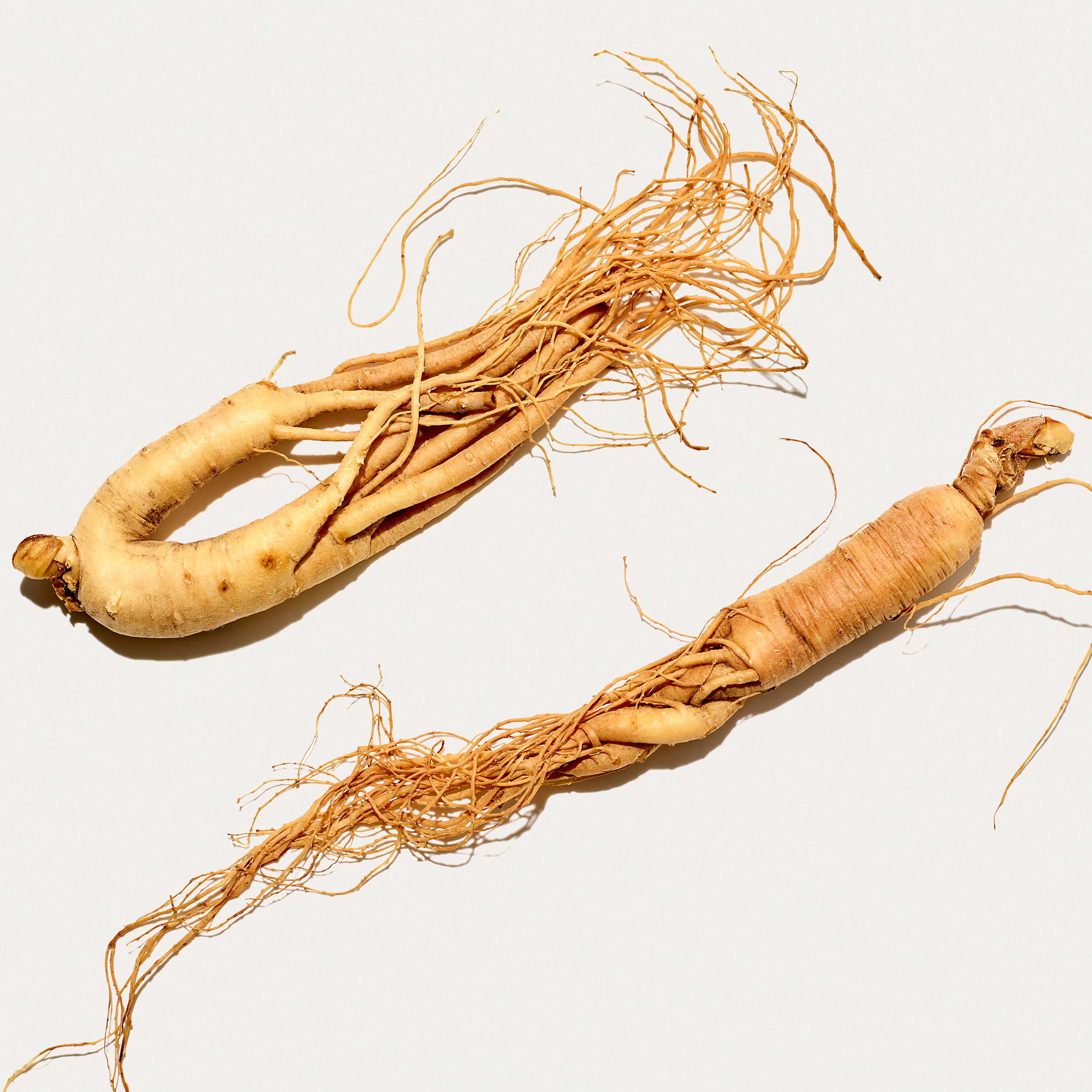 ginseng root