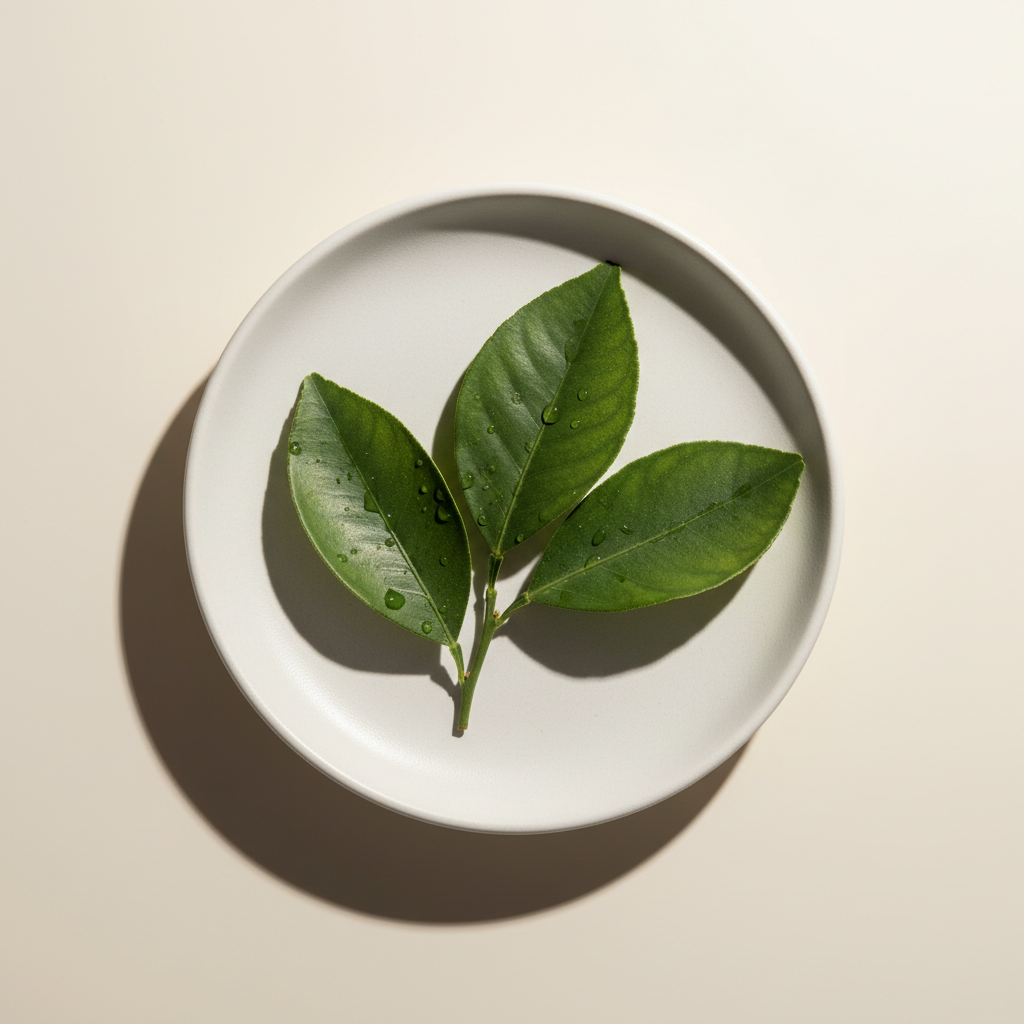 Fresh bitter orange leaves and twigs yielding aromatic essential oil